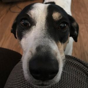 Meet your Posher, Sherilynn